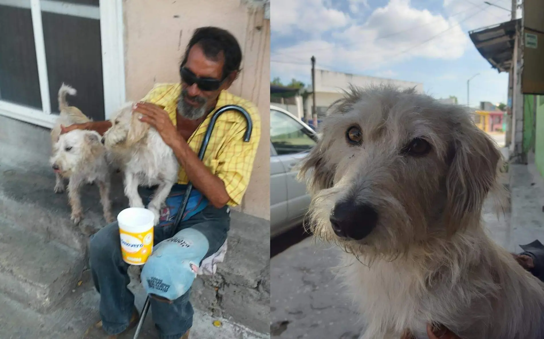 Lo único que don Mario, residente de la Isleta Pérez, pide es recuperar a su perro guía llamado Peluchín Carlos Arturo Román